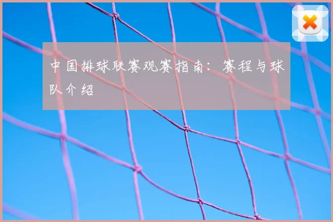 中国排球联赛观赛指南：赛程与球队介绍