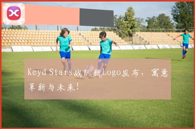 Keyd Stars战队新Logo发布，寓意革新与未来！