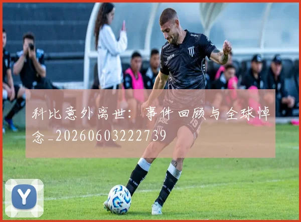 科比意外离世：事件回顾与全球悼念_20260603222739