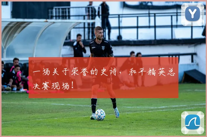 一场关于荣誉的史诗，和平精英总决赛现场！