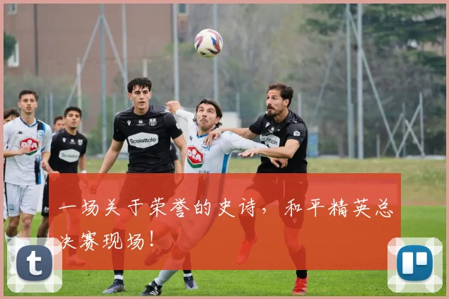 一场关于荣誉的史诗,和平精英总决赛现场!