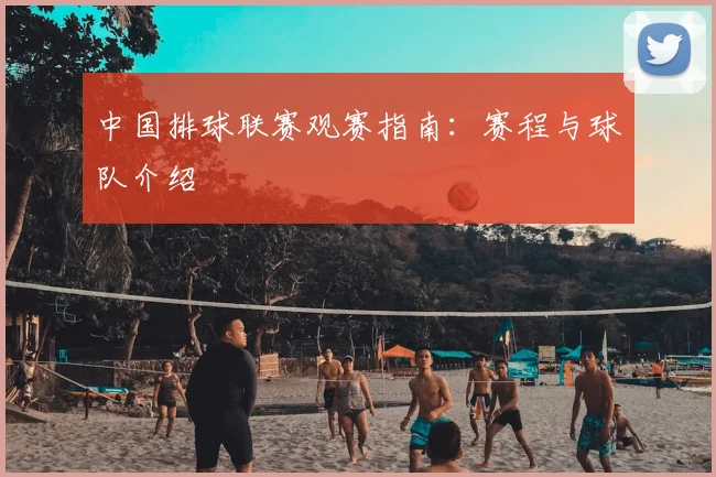 中国排球联赛观赛指南：赛程与球队介绍